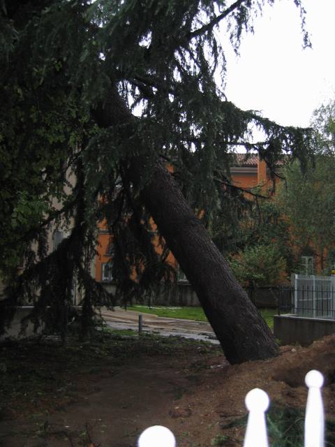 Effetti tromba d'aria del 30 agosto 2007